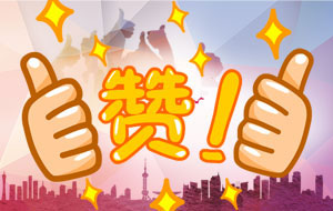 客戶盛贊：“你們的服務(wù)態(tài)度真是行業(yè)******！”