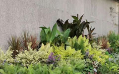 不看不知道，客戶這一年又做了這么多園林項目！